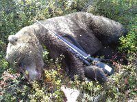 20130908_155539.jpg