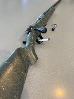 IMG_5259.jpeg