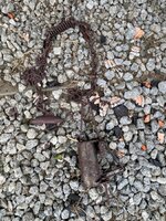 IMG_2335.jpeg