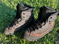 IMG_3953.jpeg