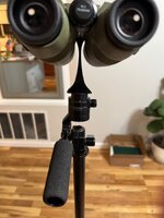 IMG_7401.jpeg