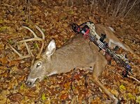 Archery buck, 11-9-2024.jpg