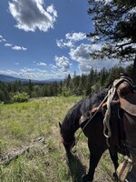 IMG_3803.jpeg