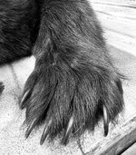 IMG_3056.jpeg