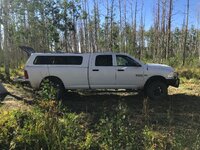 IMG_2616.jpeg
