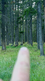 IMG_7082.jpeg