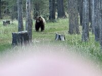 IMG_7076.jpeg