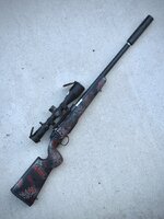 IMG_2626.jpeg