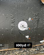 IMG_1466.jpeg
