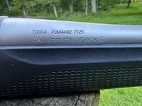 IMG_5596.jpeg
