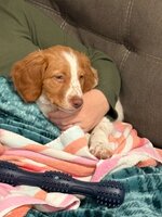 IMG_1118.jpeg