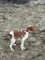 IMG_1406.jpeg