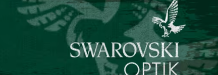 1748015919660.png