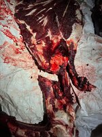 IMG_3060.jpeg