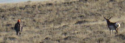 IMG_6385.jpeg