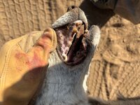 IMG_1777.jpeg