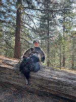 IMG_5099.jpeg