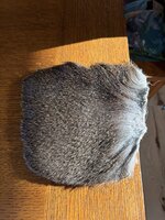 IMG_0042.jpeg
