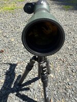 IMG_1715.jpeg