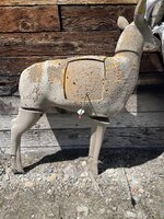 IMG_7399.jpeg