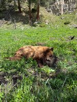 IMG_2809.jpeg