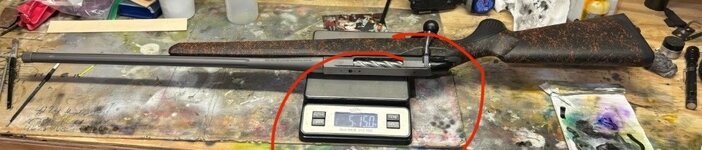 IMG_3073.jpeg