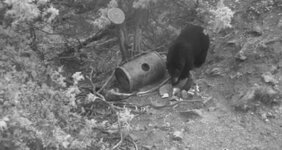 IMG_4841.jpeg