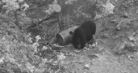 IMG_4842.jpeg