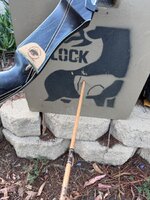 IMG_7289.jpeg
