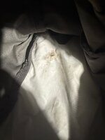 IMG_8459.jpg