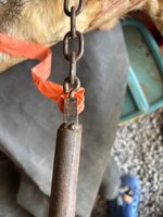 IMG_1957.jpeg