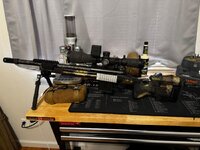 IMG_6734.jpeg