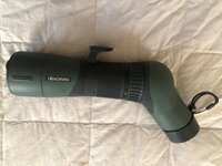 IMG_4161.jpeg