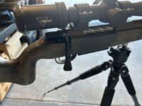 IMG_2031.jpeg
