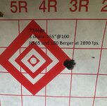 mega 100 yd group.jpg mega 100 yd group.jpg