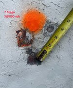 mega pic 4.jpg