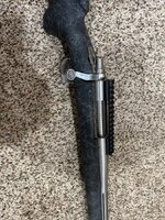 IMG_8111.jpeg