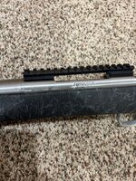 IMG_8112.jpeg