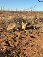 IMG_1723.jpeg