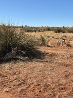 IMG_1764.jpeg