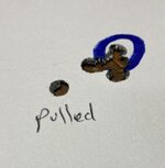 IMG_4535.jpeg