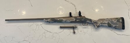 IMG_6449.jpeg