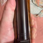 IMG_2256.jpeg