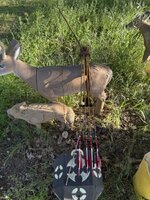IMG_0251.jpeg