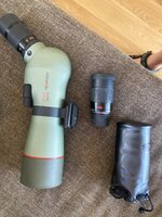 IMG_9873.jpeg