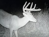 IMG_0340.jpeg