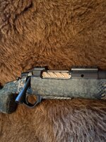 IMG_5080.jpeg