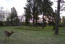 IMG_5868.jpeg