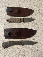 IMG_3375.jpeg