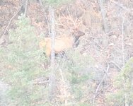 IMG_8775.jpeg IMG_8775.jpeg